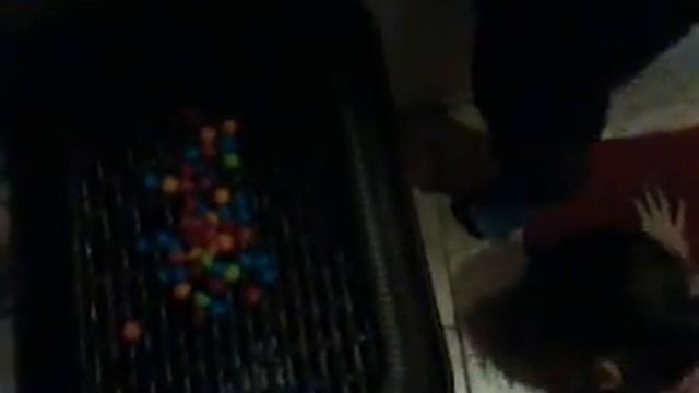 Дикие игры на "стс"