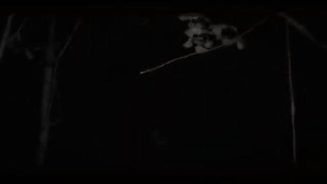 Не засыпай || все части || worldbegemotkot || ворлд кот бегемот