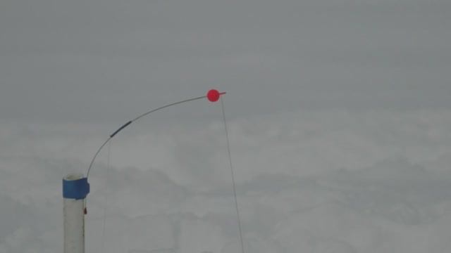 ХИТРЫЕ ПОСТАВУШКИ В ДЕЛЕ. ЛОВЛЯ СУДАКА НА ТЮЛЬКУ. РЫБАЛКА НА РЕКЕ В ФЕВРАЛЕ