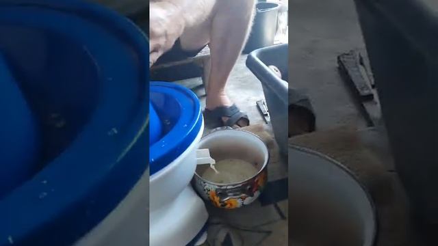 Нептун соковыжималка для додельников.