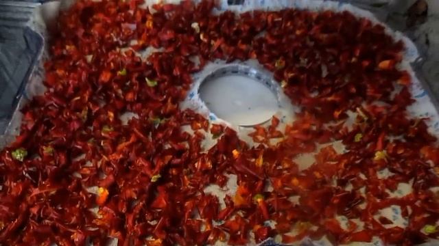 СУШКА ПЕРЦЕВ НА ЗИМУ Реальный выход перцев после сушк?