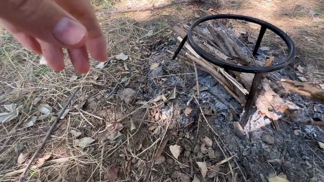 САЗАНА ТУТ МНОГО! ОН КИШИТ! АСТРАХАНСКИЙ КЛЕВ. В ПОИСКА