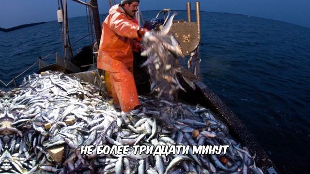 РЫБОЛОВСТВО!! НОВЫЕ ПРАВИЛА ДЛЯ РЫБОЛОВОВ В 2025 ГОДУ!! Н?