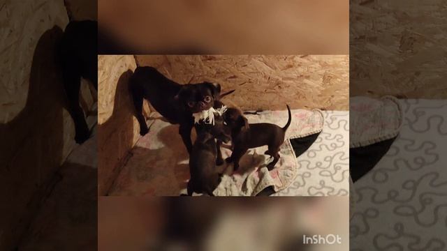 Жыка и малыши литера Ю🤎🤎🤎🤎