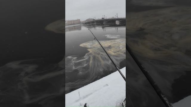 #рыбалка #спиннинг | Как вовремя подсечь рыбу |