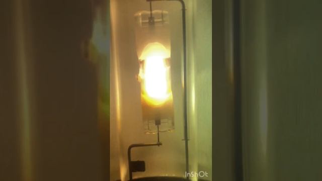 Запуск лампы ДРИ 250w BLV TOPFLOOD в светильнике ЖКУ21-250 от @DENIS