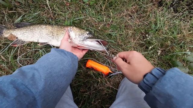 Как повесить щуку на кукан. Как вешать щуку на кукан 3 с