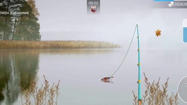Как легко поймать рыбу каплю в My fishing world?