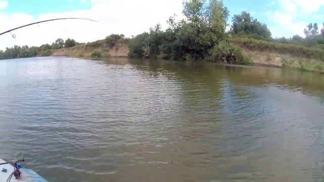 Рыбалка в Астрахани ,июль 2024