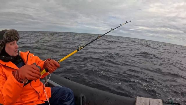 Отличная рыбалка в Баренцевом море