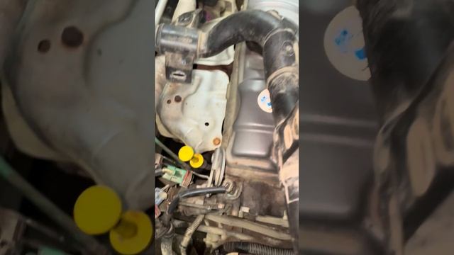 Peugeot 206, 2008г 1.4 бензин замена ремня ГРМ, ремня генератор?