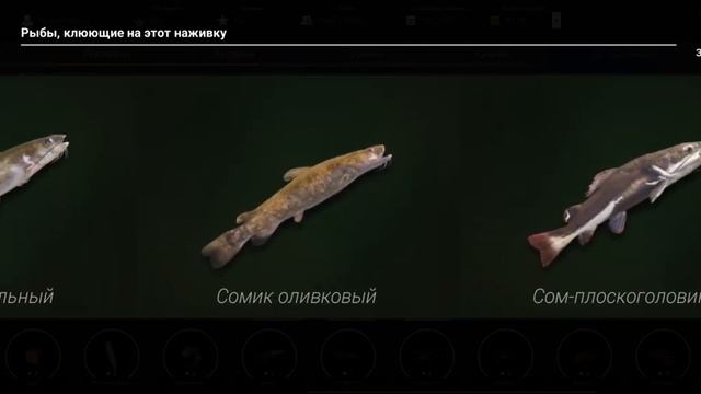professional fishing 2 ловим оливковава сомика 1 часть