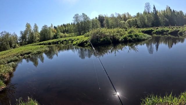 Форель и Хариус. Рыбалка в Ленинградской области. Май 2