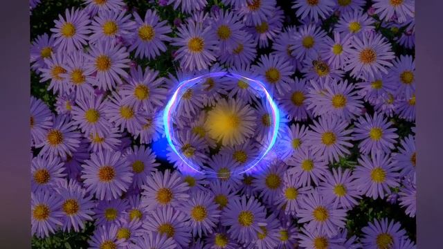 Каспийский Груз - Любовь HD1080