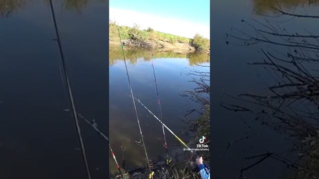 Сибирский Страник Руслан и сын Роман!!!