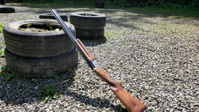 Инициатива по внесению изменений в ФЗ об оружии в РФ