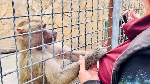 Елисей и Лида НЕ ОБРАЩАЮТ ВНИМАНИЕ на Люську и она попросилась ДОМОЙ