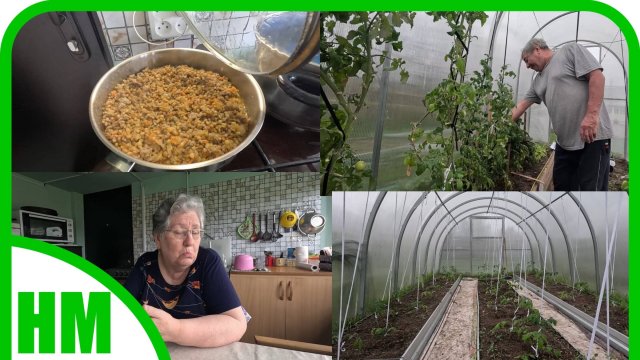 14 мая. У мужа изменились показания сахара в крови 🤔. Подвязала томаты в теплице.