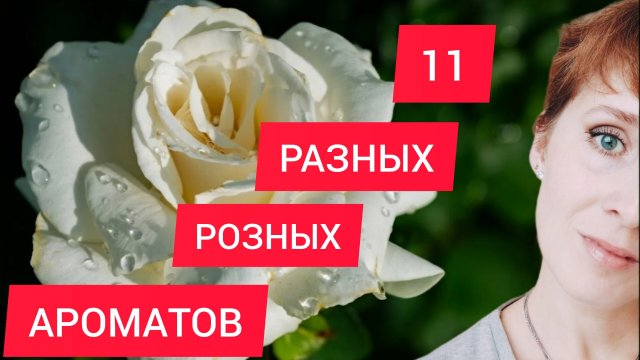 АРОМАТЫ С НОТОЙ РОЗЫ 🌹