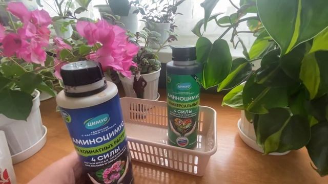 Аминоцимус. Чем я удобряю свои комнатные растения.