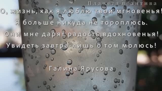 Жизнь, как я люблю твои мгновенья, стихи о жизни