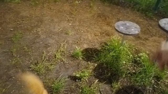 VID_20250515_021505