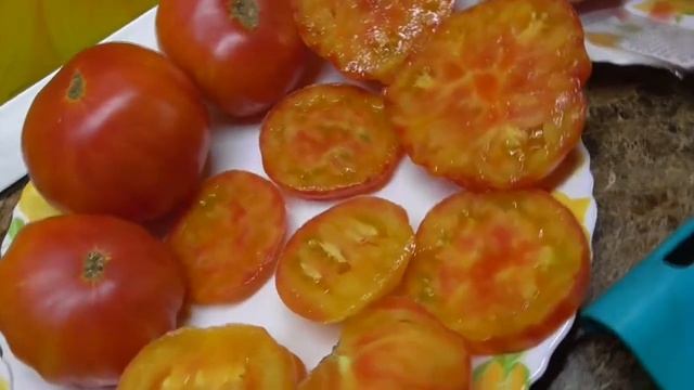 Томат Красный живот. Дегустация сорта. Ольга Чернова