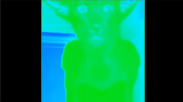 Миша ты что пукнул Effects