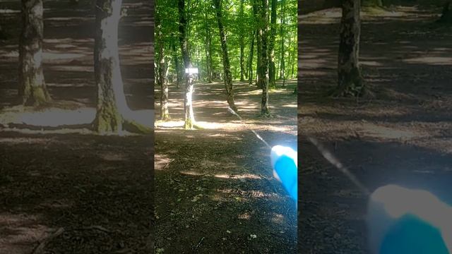 ЛАБИРИНТ "Путь к Совершенству". Мыс Миллениум.