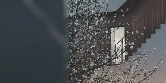 Экстерьер после дождя