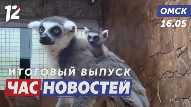 Омский зоопарк / Сибгуфку 75 лет / Мусор. Новости Омска