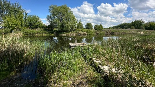 Обзор дома, Воронежская область, село Новая усмань, ул. Краснозаменная