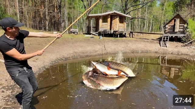 Просто ШОК! Сколько здесь щуки, в пересохшем пруду. Ловля неводом и на паук