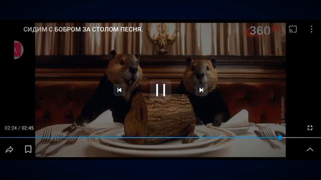 Канал Богдан про. 🐱🐱1000000