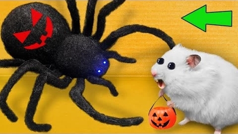 Сделай сам новый Хеллоуинский лабиринт для хомяка 🎃 Побеги хомяка