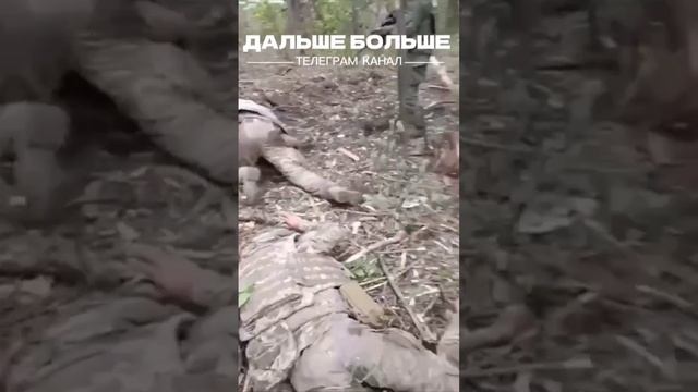 Воины ВС РФ взяли опорник противника