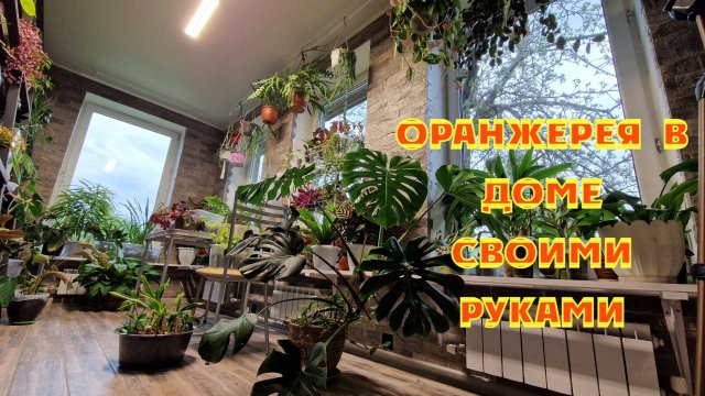Моя Мечта Комната для цветов. Всё, что не вошло в последнее видео.
