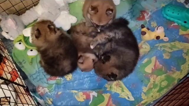 Видео от Aleks