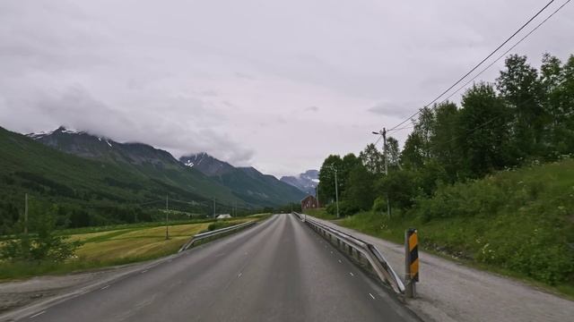 Ляма Новогодняя