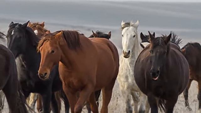 Аудиокнига Ирина Велембовская _Несовершеннолетняя_ Глава 1 Читает Марина Багинская