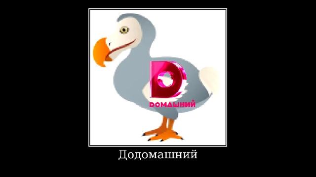 📺 Телеканалы + ШИЗА =