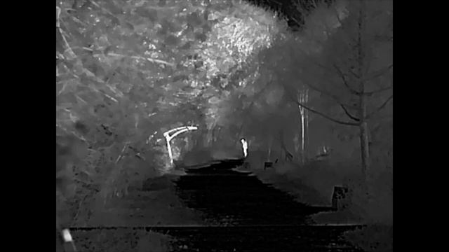 Видео с тепловизора Аркон Арма LR35L. Сняли короткий рол?