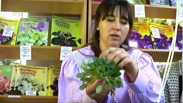 ДФ.Трейлерные фиалки. От теории к практике. Часть 2