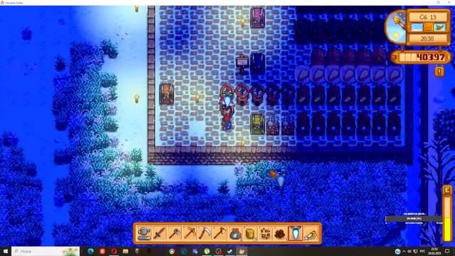 Stardew Valley: Птицы на проводах. 2kGames