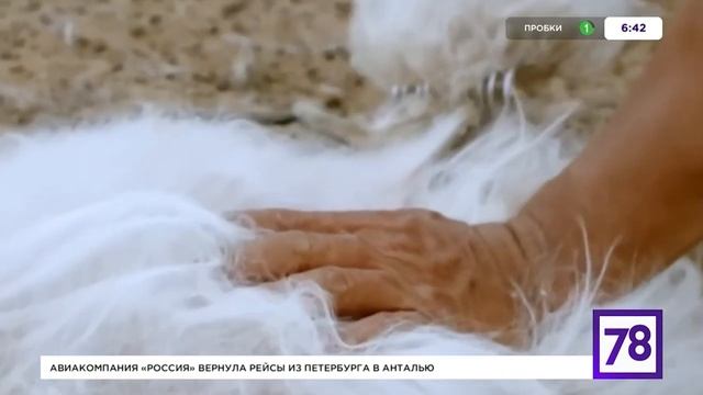 Кашемир: из чего делают и что из него шить