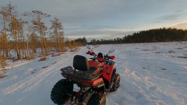 ОБЗОР НА БЮДЖЕТНЫЙ КВАДРОЦИКЛ ДЛЯ ЛЕСА. BARS 200CC PRO WHITE SIBER