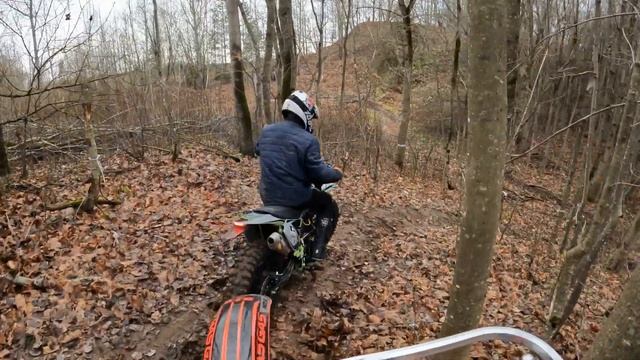 Progasi palma 250 тест