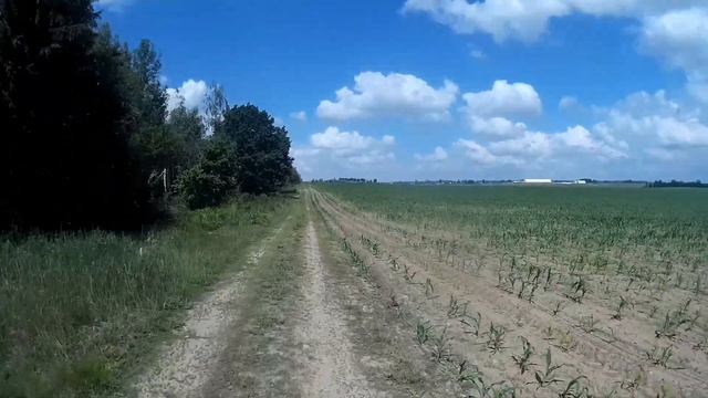 Простой и надежный трицикл своими руками