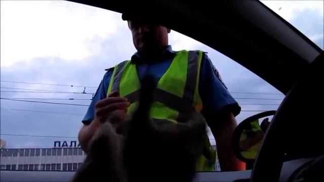 Дпс беспредел украина