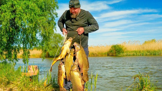 ЗАКИНУЛ САМУЮ ПРОСТУЮ СНАСТЬ И САЗАНЫ ПОПЕРЛИ КАК БЕШЕНЫЕ! РЫБАЛКА НА САЗАНА В АСТРАХАНИ!